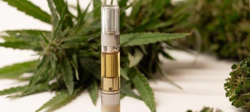 Elf Bar Einweg vape Erfahrungen, Tests und Kaufberatung – Einweg vape Tipps für Elf Bar Einweg vape Fans