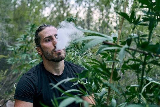 aroma verbot e zigaretten erklärt - Was Konsumenten jetzt wissen müssen und welche Alternativen bleiben
