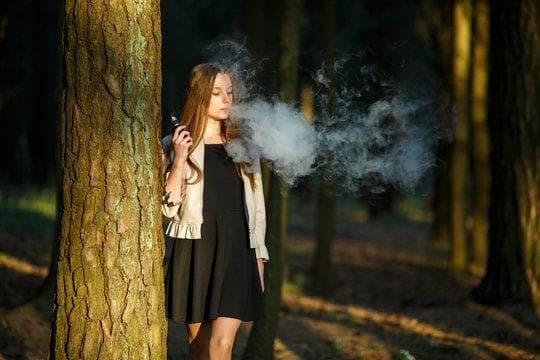 vape e shisha Ratgeber 2025 ultimative Kaufberatung Aromenübersicht und Pflegehinweise